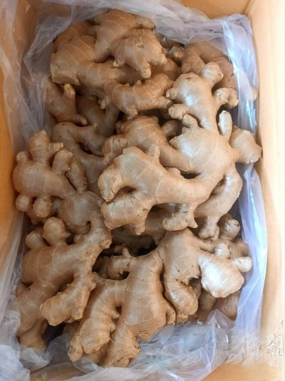z5765210937985_0542175e60ec870dfb80ad51c7218823
